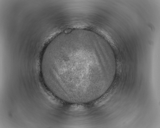 X0000110890354200907021522