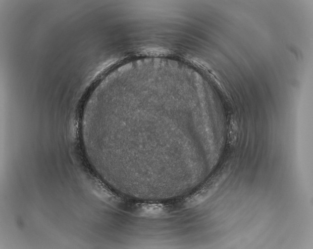 X0000110890355200907021522