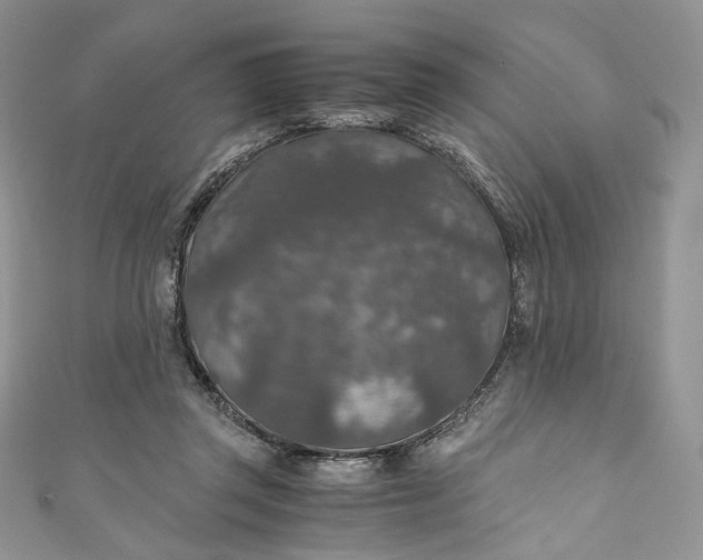 X0000110890357200907021522