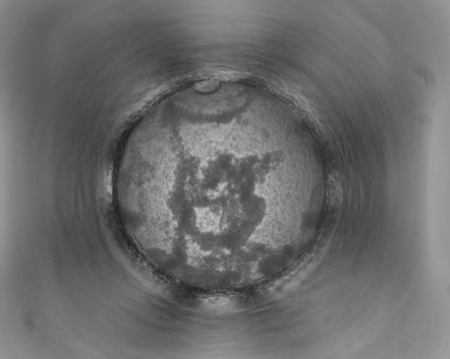 X0000110890358200907021522