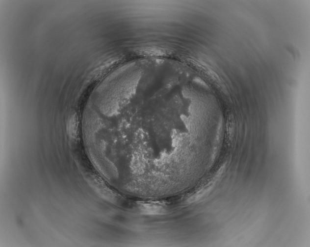 X0000110890359200907021522