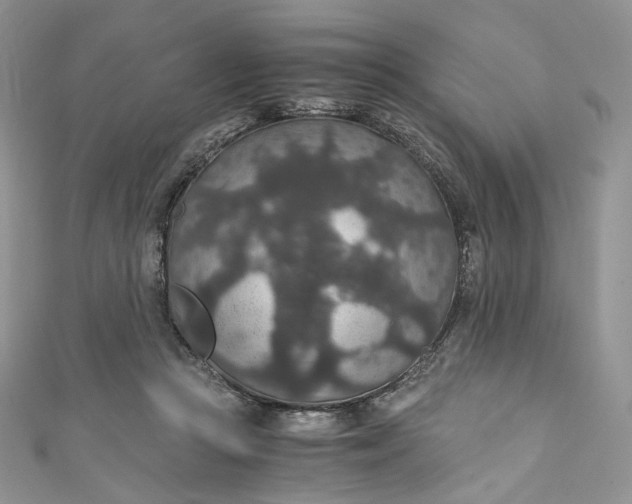 X0000110890361200907021522