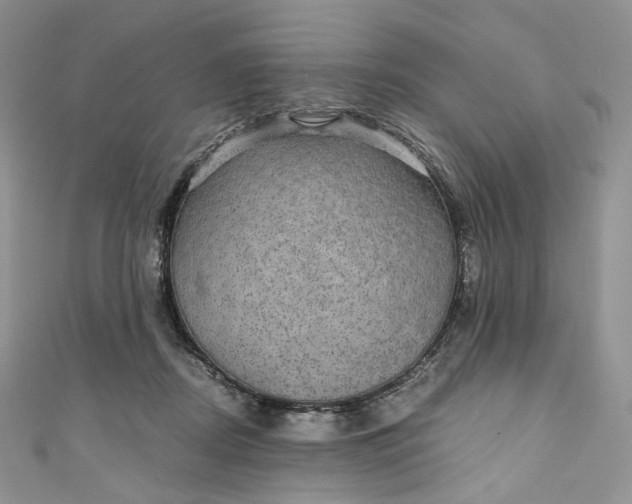 X0000110890362200907021522