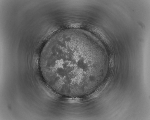 X0000110890363200907021522