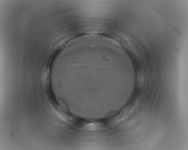 X0000110890364200907021522