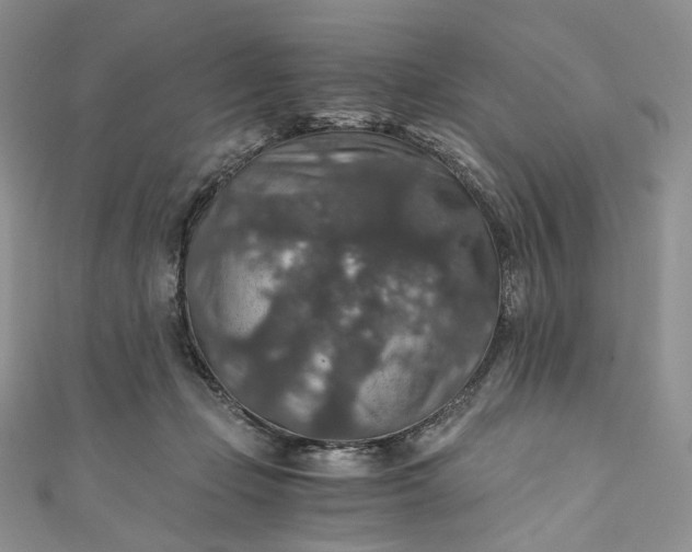 X0000110890365200907021522