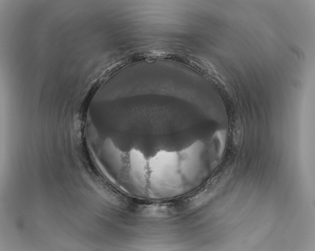 X0000110890366200907021522