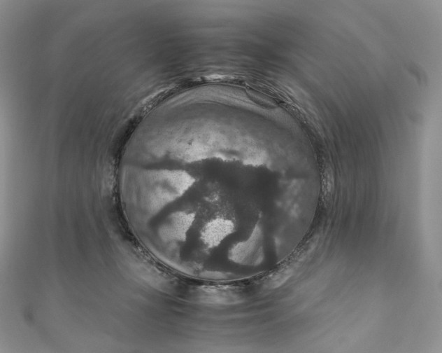 X0000110890367200907021522