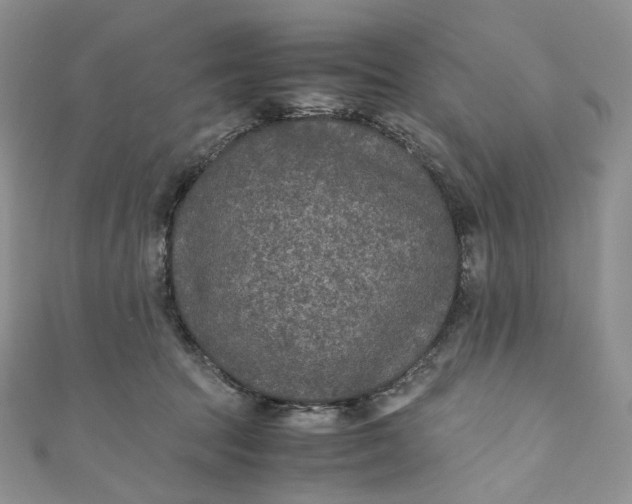 X0000110890369200907021522