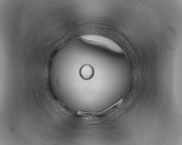 X0000110890372200907021522