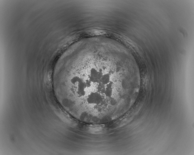 X0000110890373200907021522