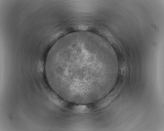 X0000110890374200907021522