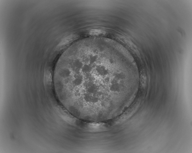 X0000110890375200907021522