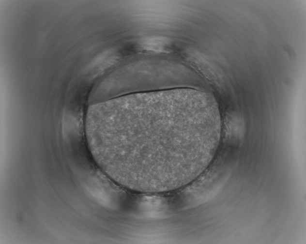 X0000110890376200907021522