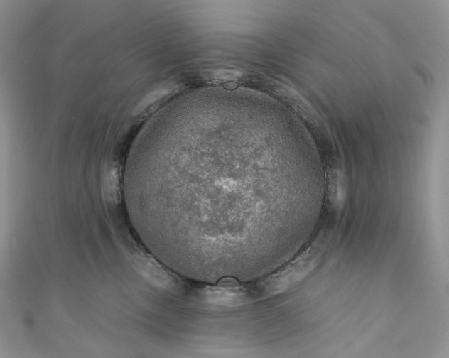 X0000110890378200907021522