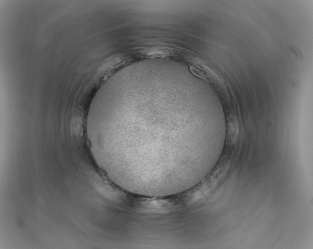 X0000110890379200907021522