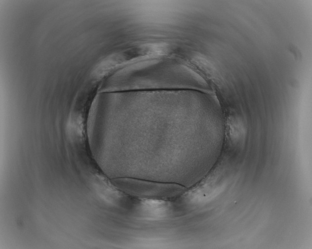 X0000110890380200907021522