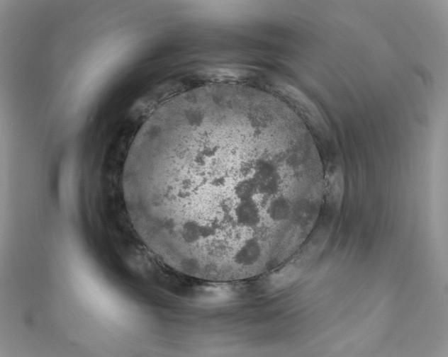 X0000110890381200907021522