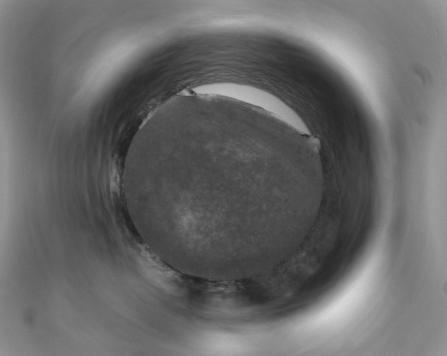 X0000110890382200907021522