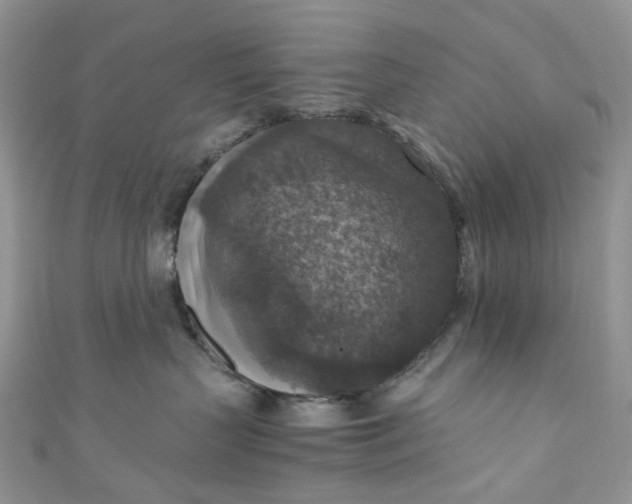 X0000110890383200907021522