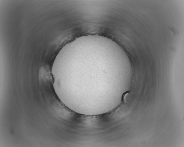 X0000110890384200907021522