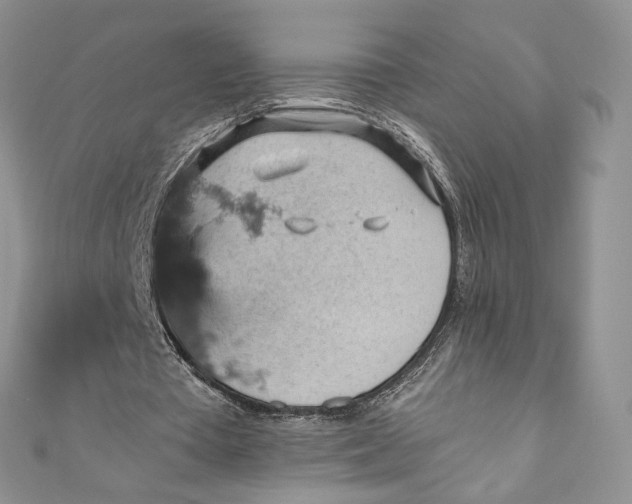 X0000110890385200907021521