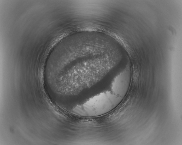 X0000110890386200907021521