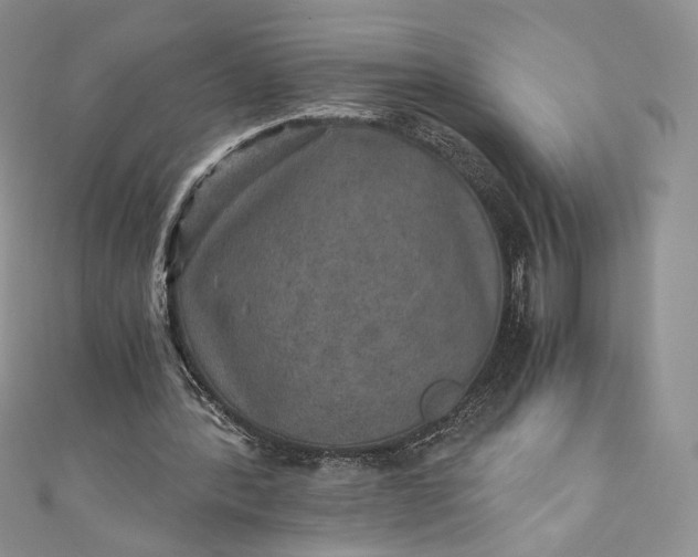 X0000110890388200907021521