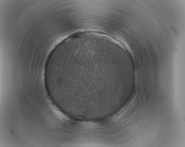 X0000110890389200907021521