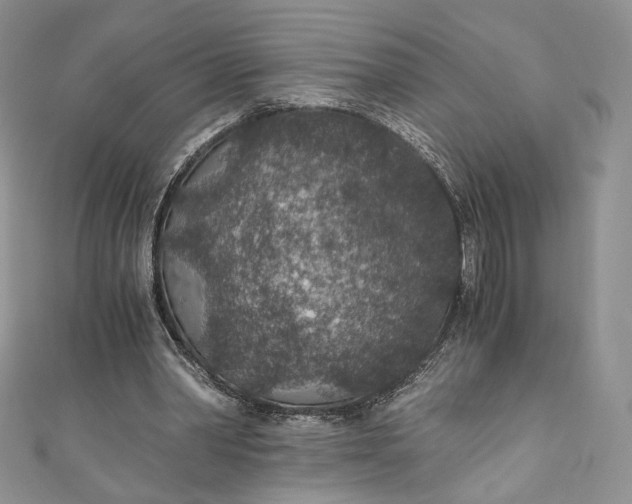 X0000110890390200907021521