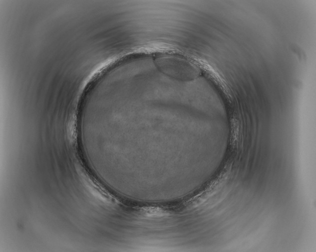 X0000110890392200907021521