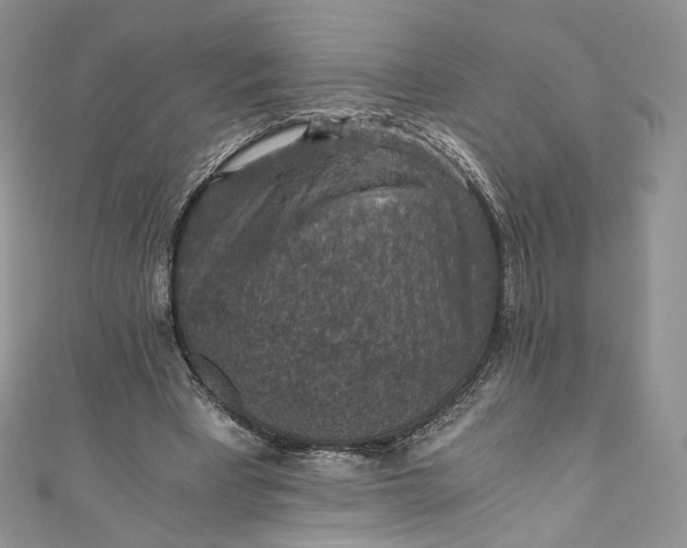 X0000110890393200907021521