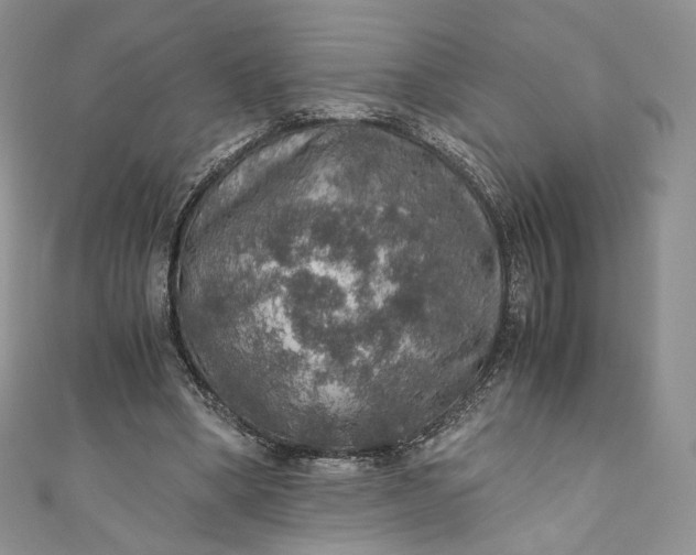 X0000110890394200907021521