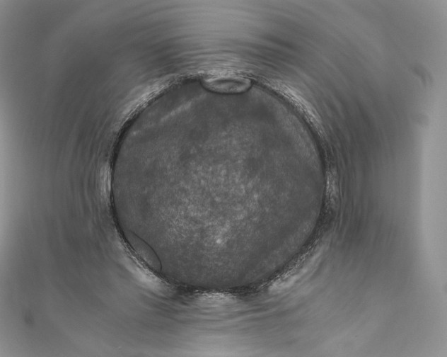 X0000110890397200907021521