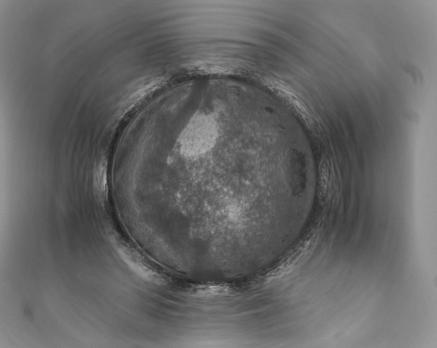 X0000110890398200907021521