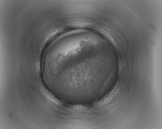 X0000110890399200907021521