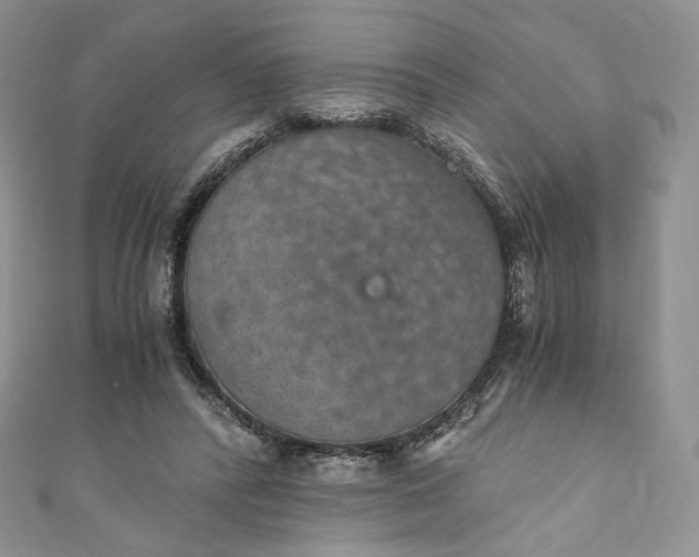 X0000110890400200907021521