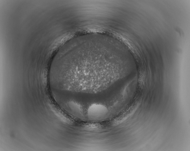 X0000110890402200907021521