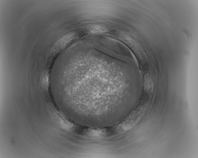 X0000110890405200907021521