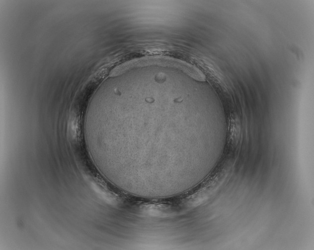 X0000110890408200907021521