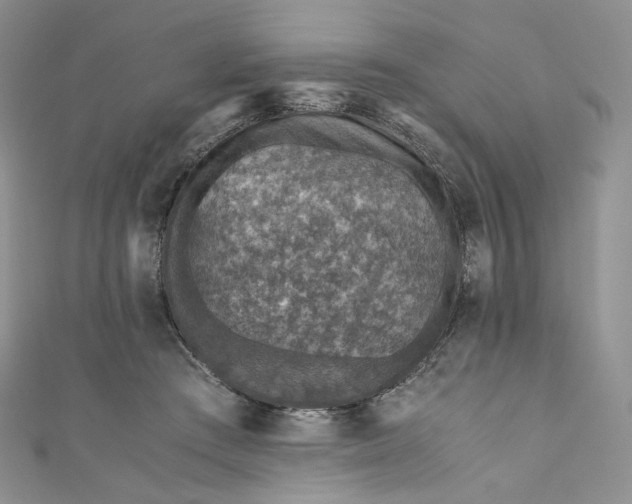 X0000110890409200907021521