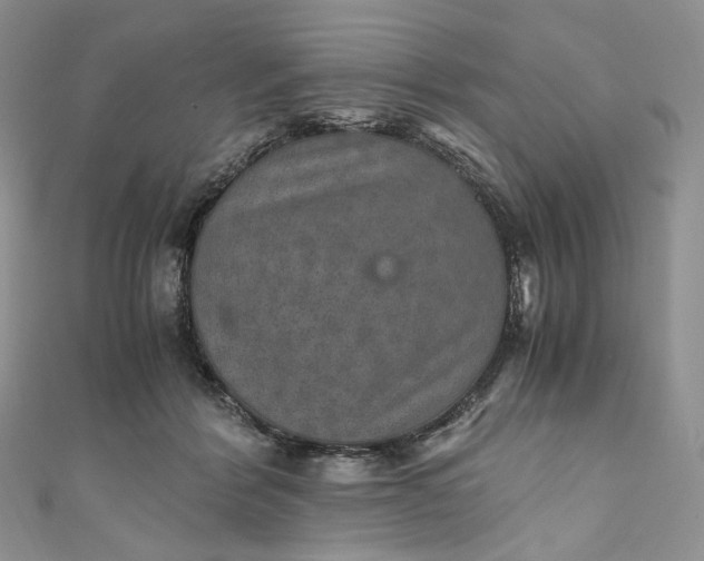 X0000110890412200907021521