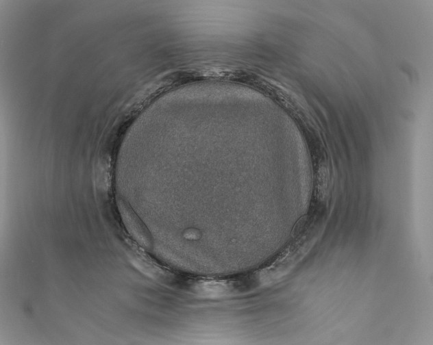 X0000110890413200907021521