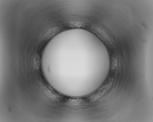 X0000110890414200907021521