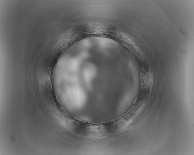 X0000110890415200907021521