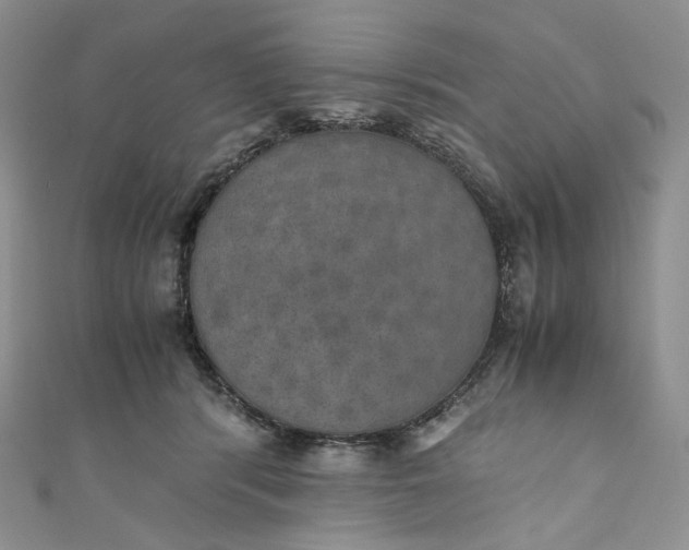 X0000110890416200907021521