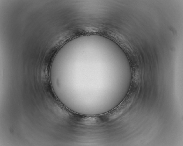 X0000110890418200907021521