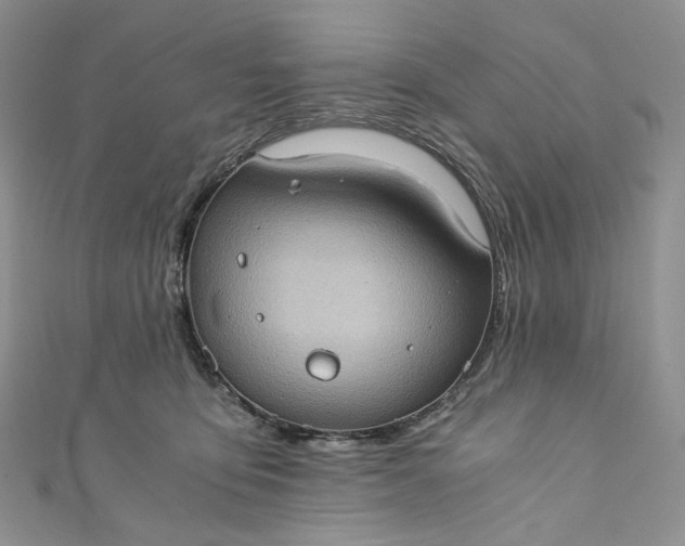 X0000110890419200907021521