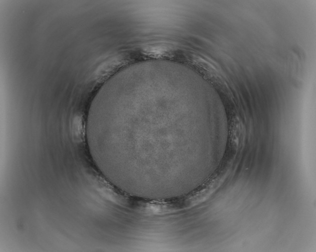 X0000110890420200907021521