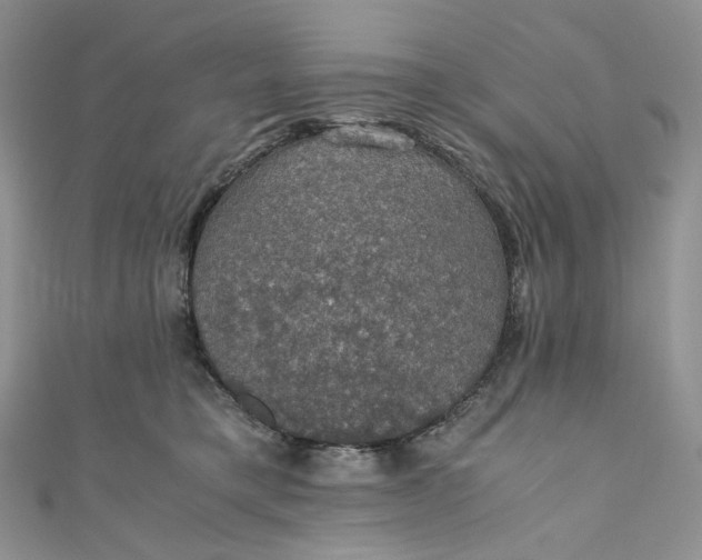 X0000110890421200907021521